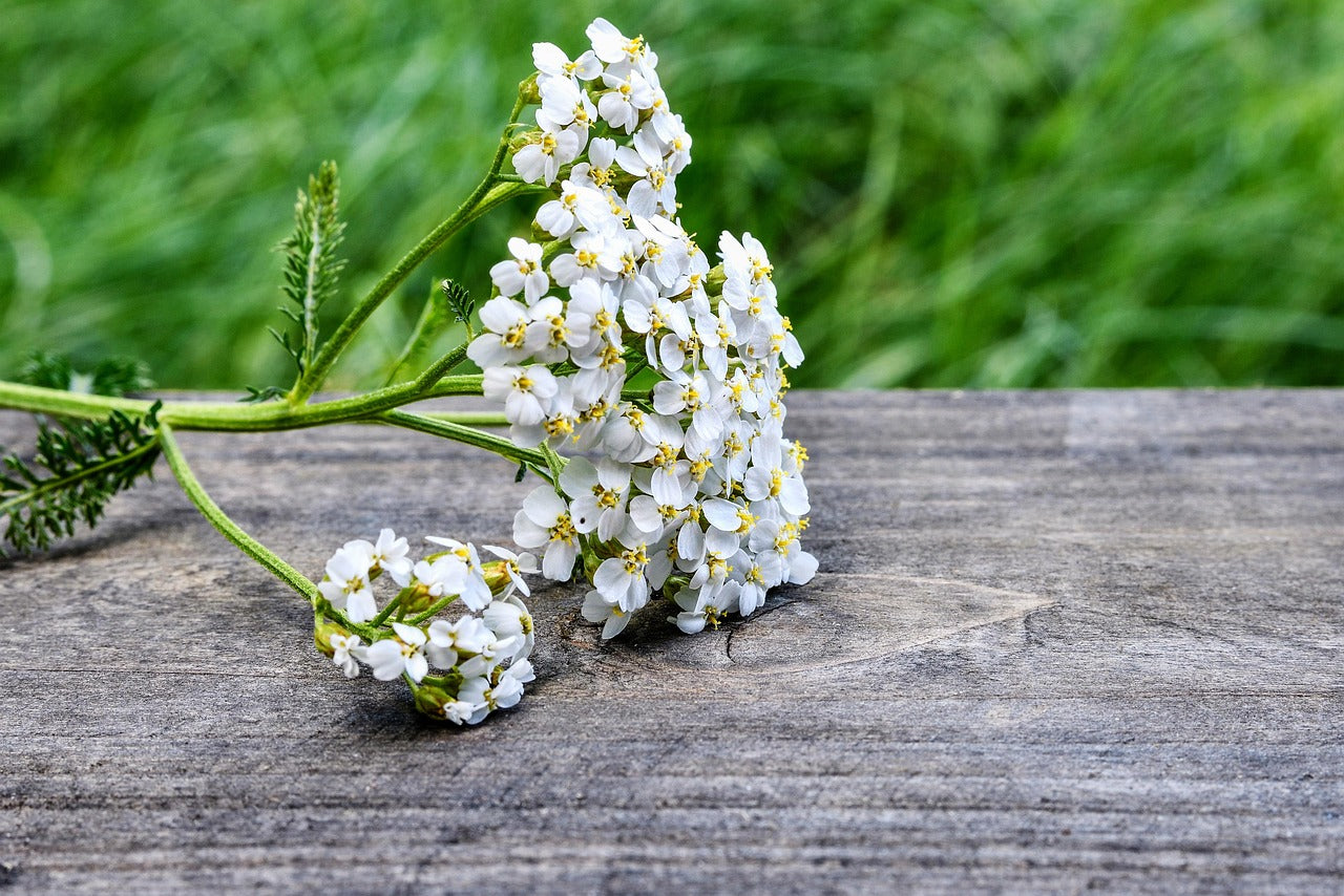 Les meilleures astuces naturelles pour soulager les douleurs menstruelles