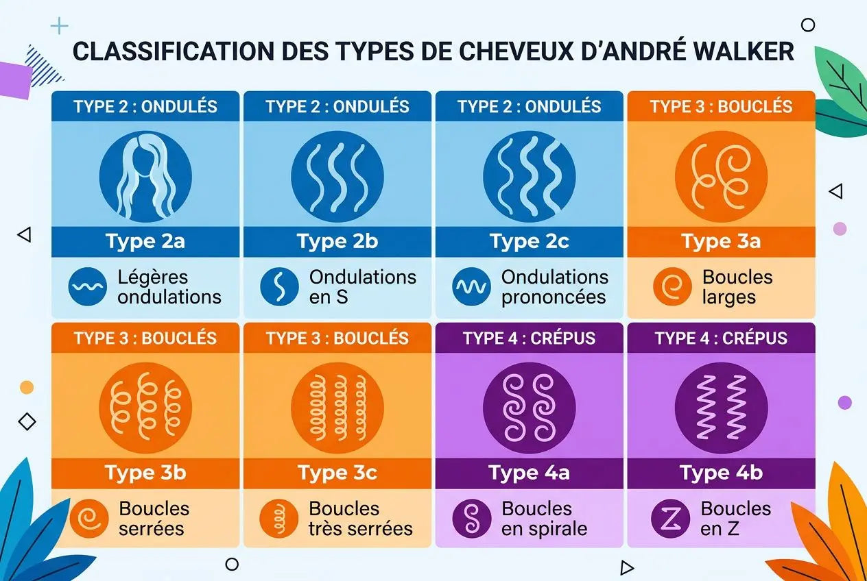 Guide complet des types de cheveux bouclés et ondulés
