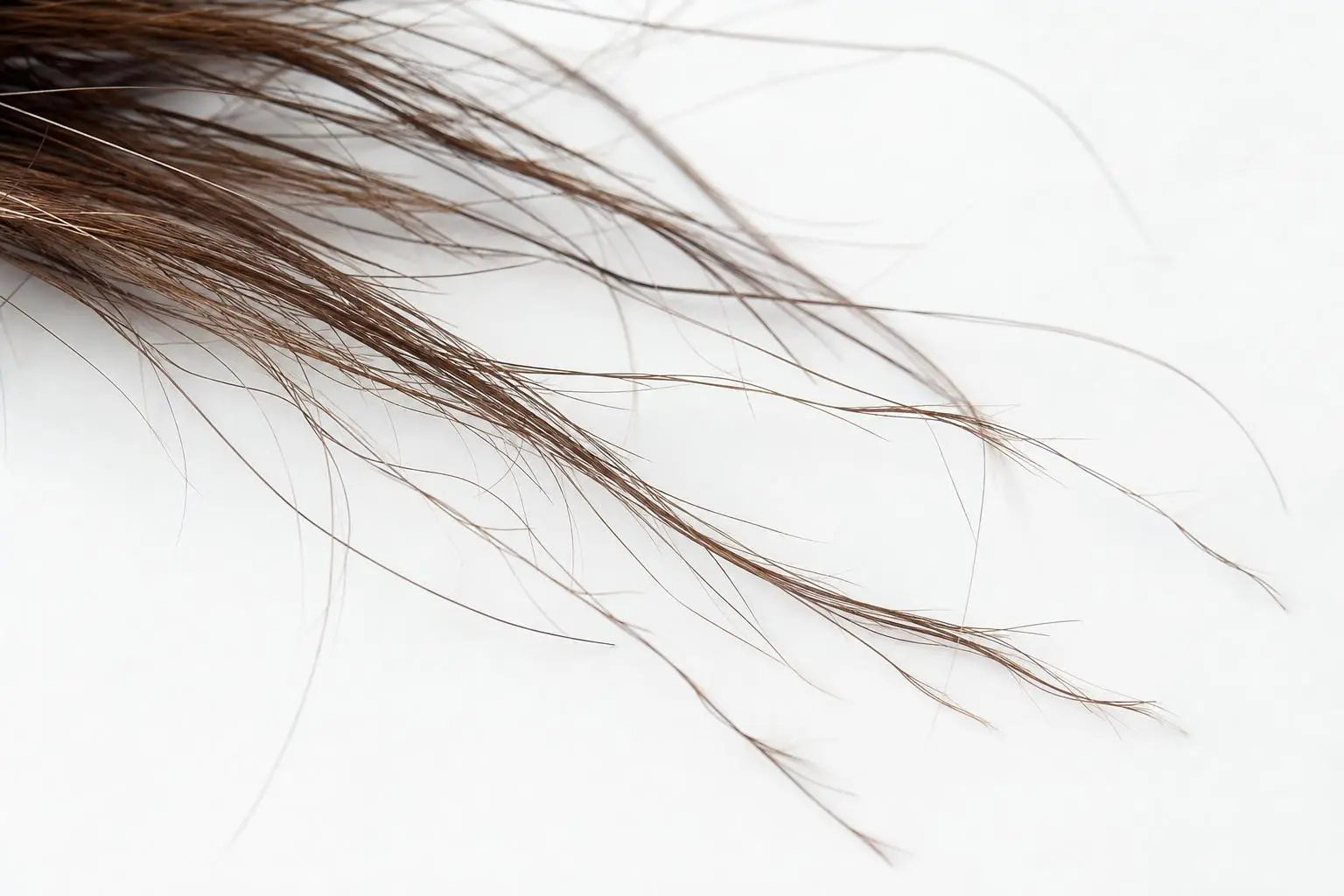 Routine capillaire pour cheveux fins et cassants : guide complet Image
