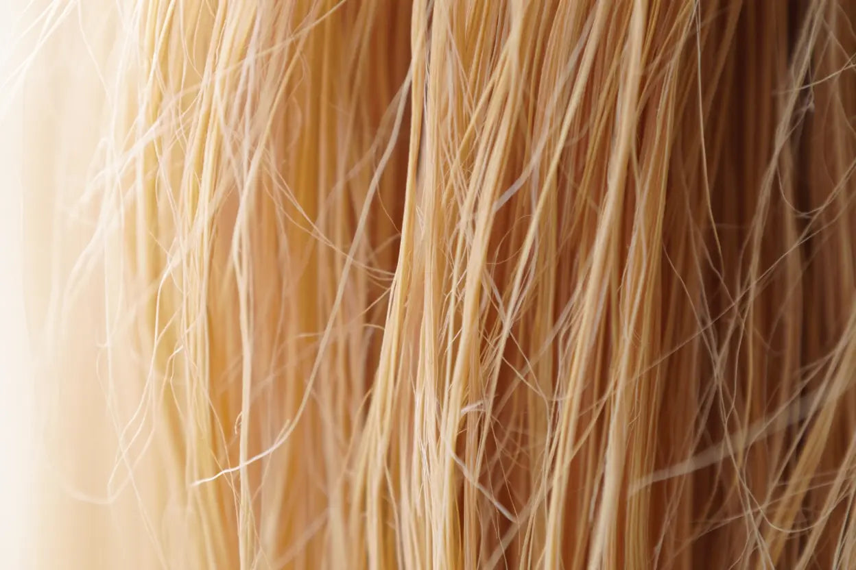 Comment nourrir et réparer ses cheveux abîmés : conseils