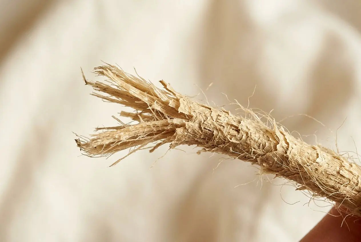 Comment réparer les cheveux abîmés par la décoloration Image