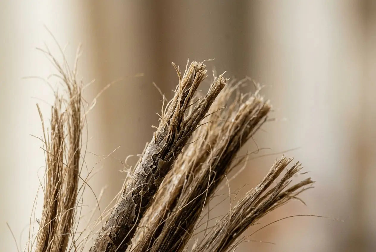 Cheveux abîmés : solutions naturelles pour les réparer
